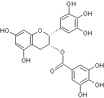 EGCG单体(图1)
