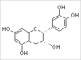 表儿茶素-(EC)单体