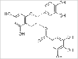 表儿茶素没食子酸酯ECG单体