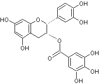表儿茶素没食子酸酯ECG单体(图1)
